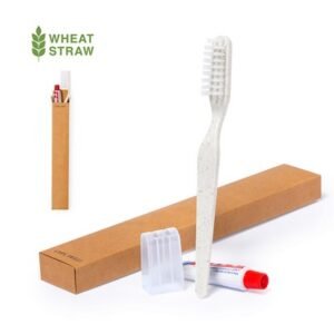 Dental Kit
