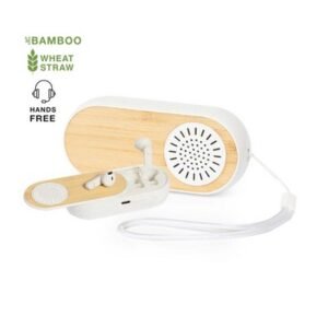 Gissel Earphones & Speaker